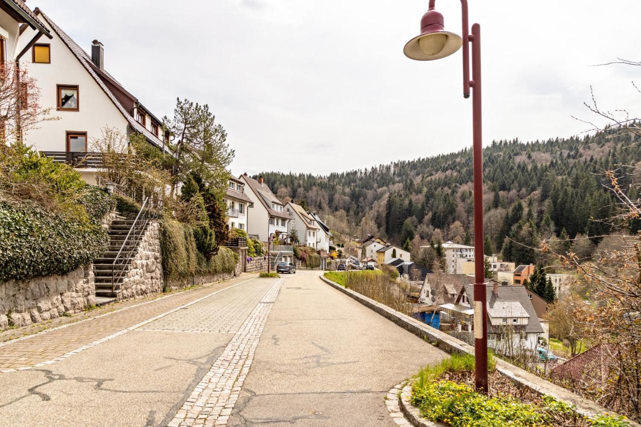 Ferienappartement Sonnenhof 特里贝格 外观 照片