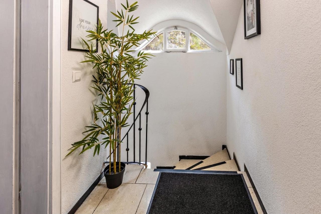 Ferienappartement Sonnenhof 特里贝格 外观 照片