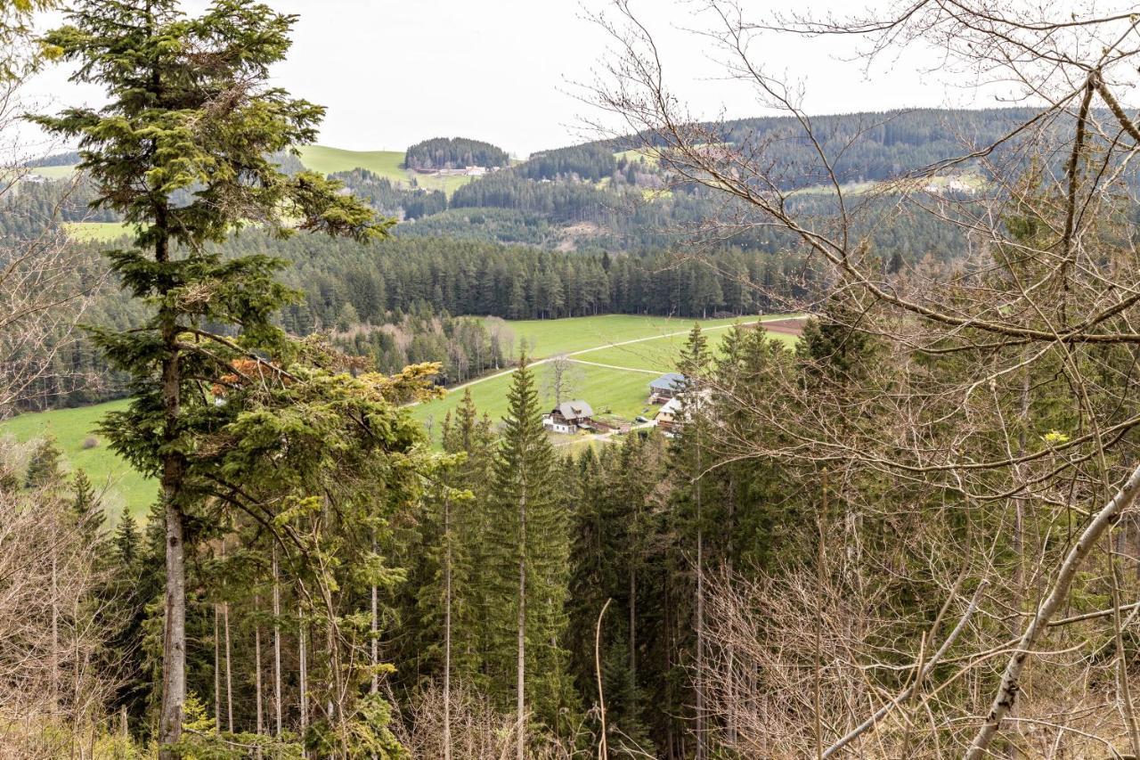 Ferienappartement Sonnenhof 特里贝格 外观 照片